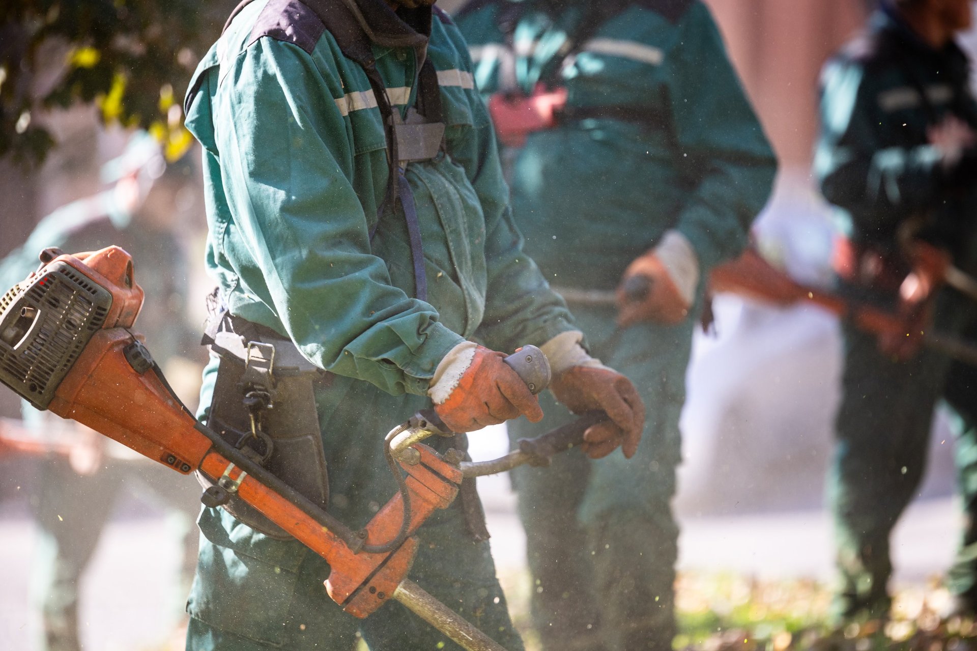 A landscaping team is busy trimming grass and weeds in a neighborhood, using string trimmers. Dust and debris fill the air as they work energetically on a clear autumn day.