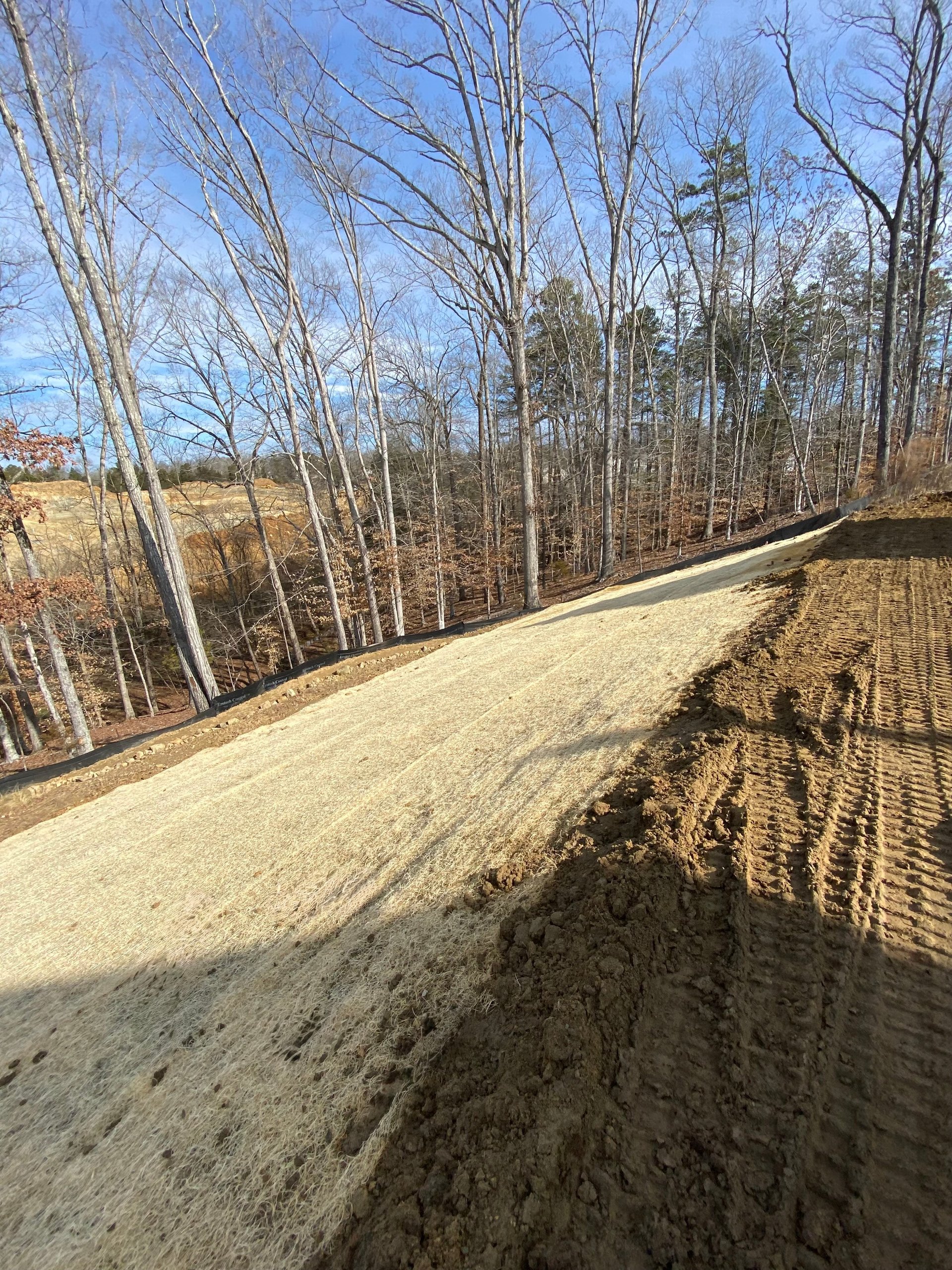 Unpaved dirt road winding through bare birch and evergreen trees on a hillside in winter